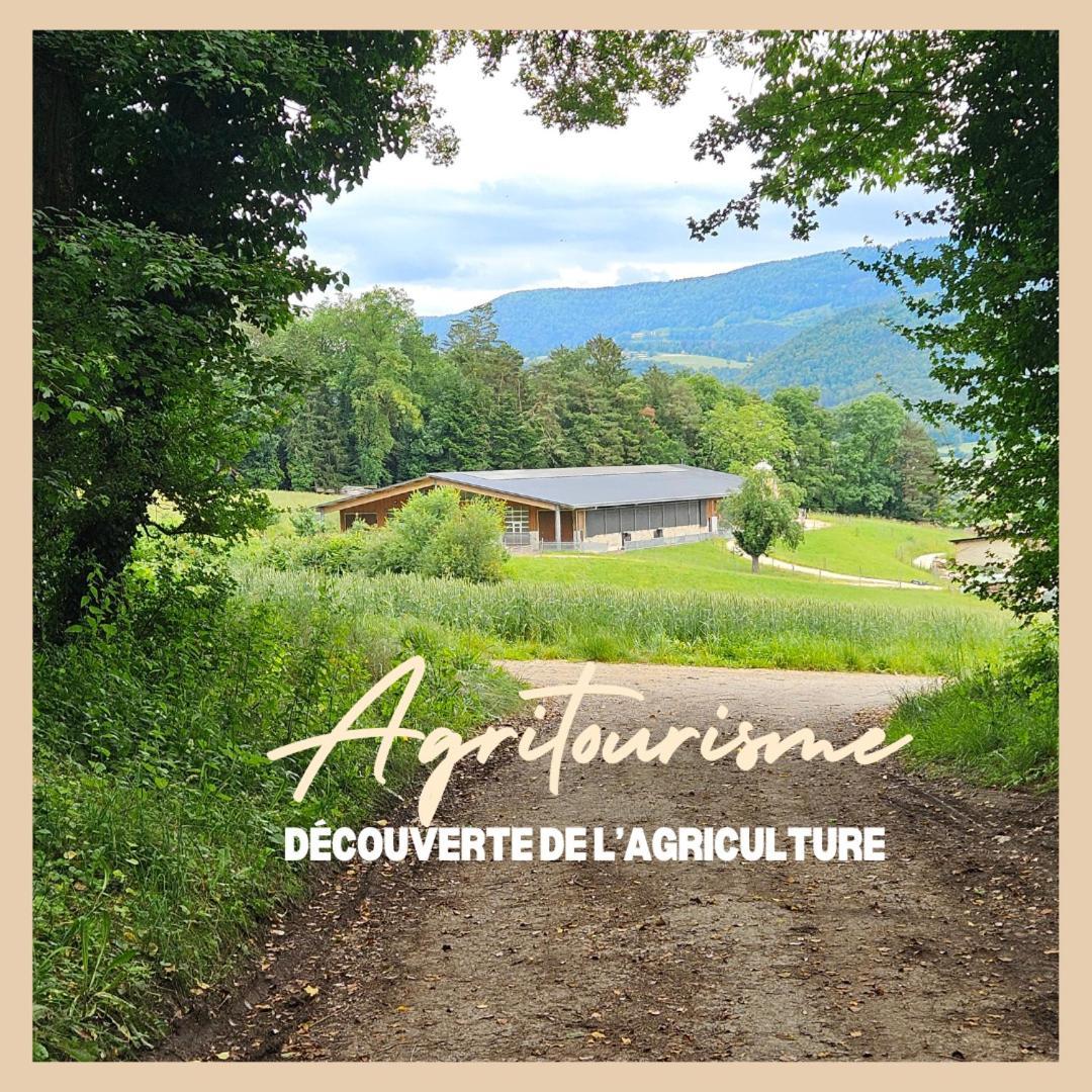 La Ferme Du Solvat Courcelon Exterior foto